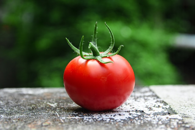 curiosidad-por-el-tomate-y-sus-origenes