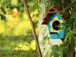 como-construir-una-casa-de-pajaros-de-madera