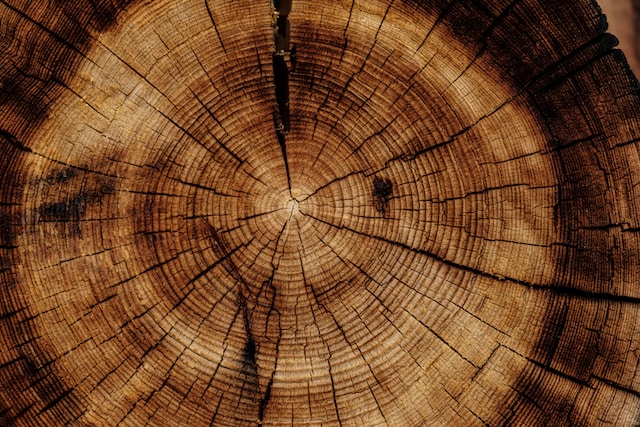 como-construir-una-casa-de-pajaros-de-madera