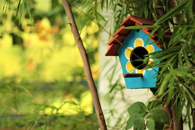 como-construir-una-casa-de-pajaros-de-madera